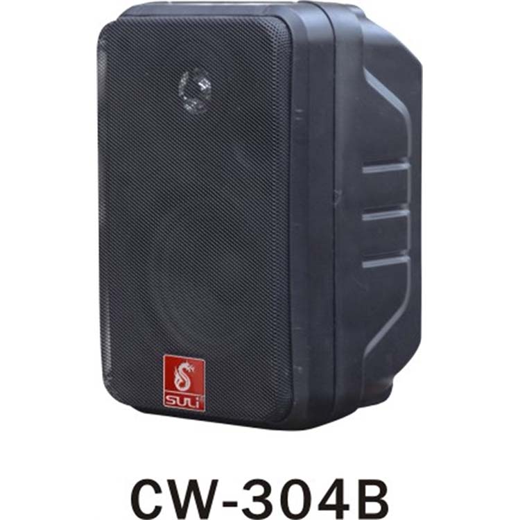 时尚壁挂音箱CW-304B