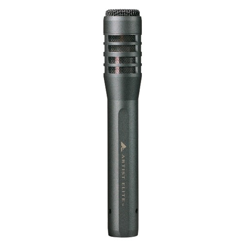 现场演出心形指向乐器话筒 AE5100